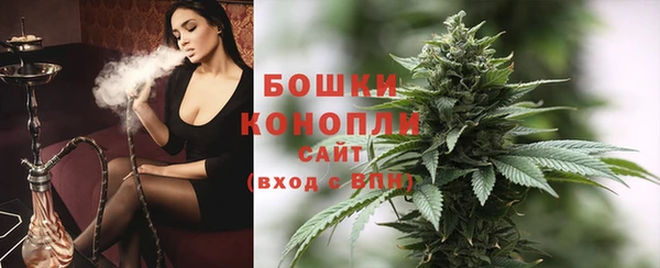 гашик Горняк