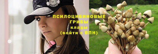 гашик Горняк