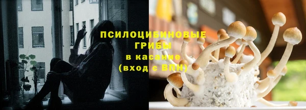 герыч Горнозаводск