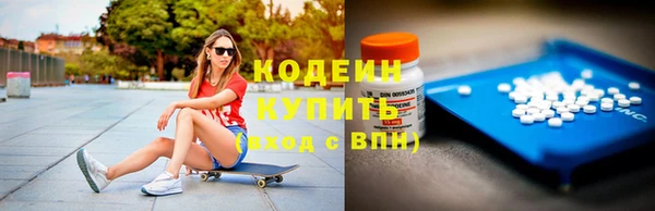 гашик Горняк
