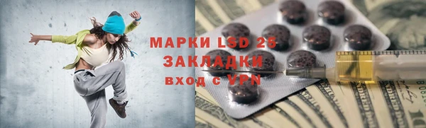 гашик Горняк