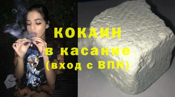 гашик Горняк